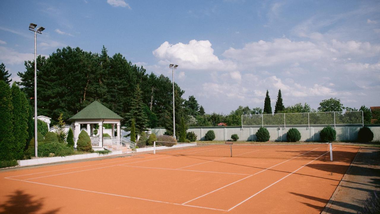 Fruska Gora Klub Krstasice Vila Irig Exterior foto